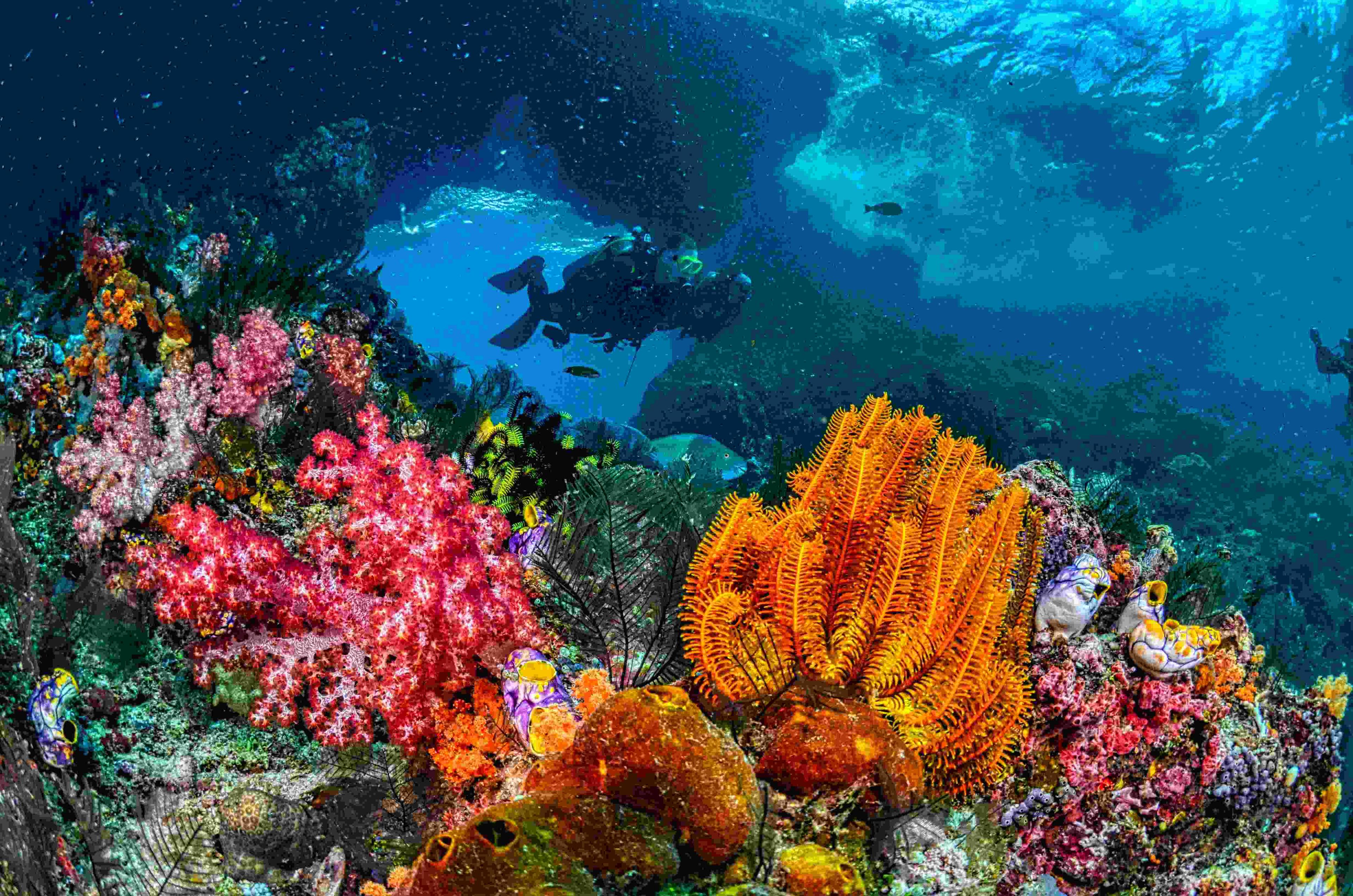 Book Andaman Tour Packages Online | Upto 40% Off 