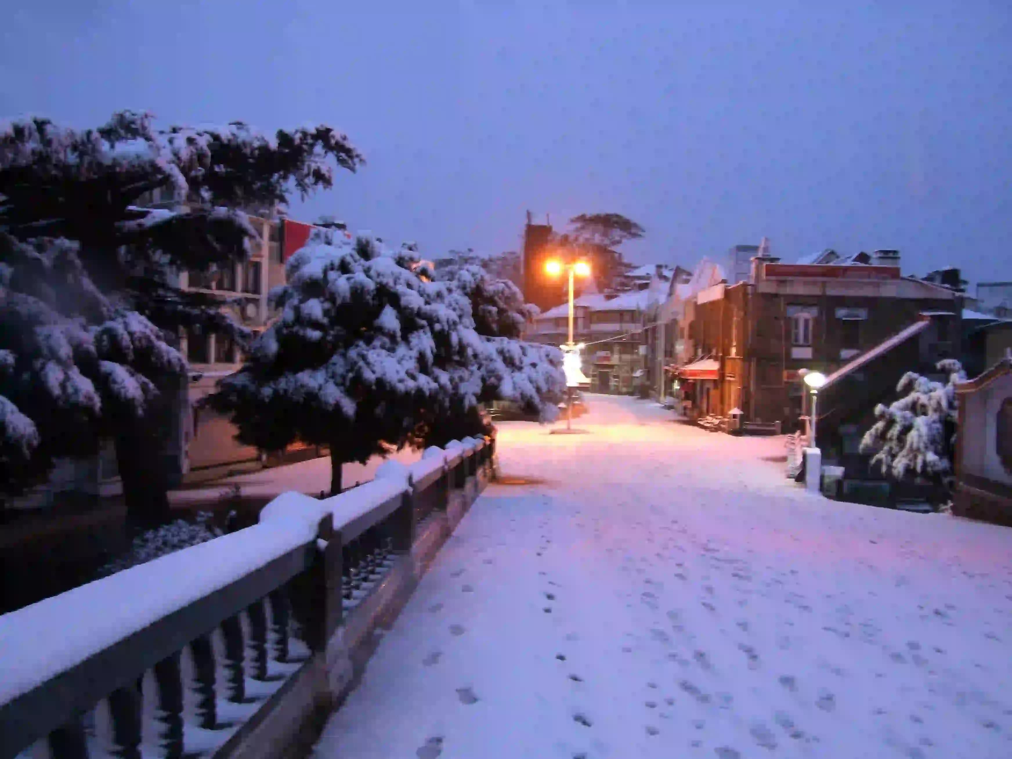 Snow in shimla