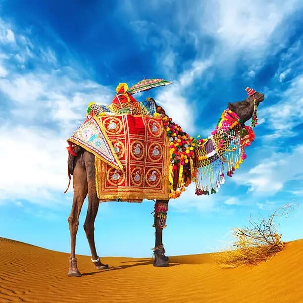Desert Rajasthan Tour package
